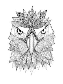quadro-aguia-america