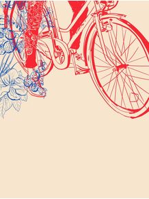 quadro-bicicleta-florida
