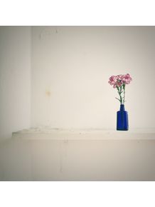 quadro-vaso-floral-nude
