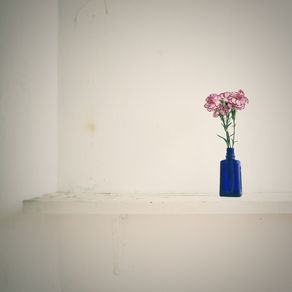quadro-vaso-floral-nude