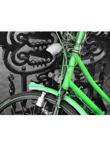 quadro-bikes-amsterdan-3