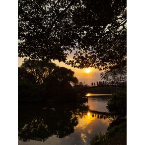 quadro-ibira-sunset