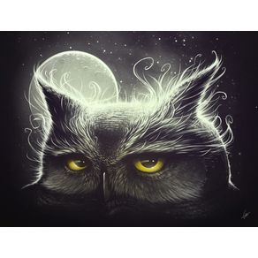 quadro-owl-and-the-moon