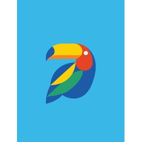 quadro-colorful-bird-toucan