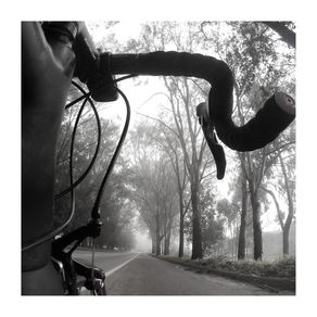 quadro-bike-road