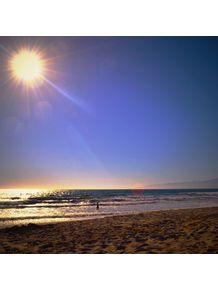 quadro-venice-beach-sunset