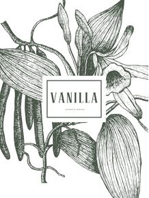 quadro-botanical--vanilla