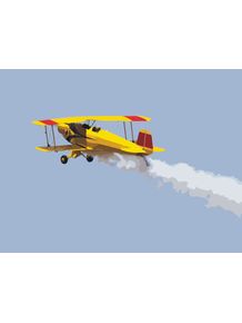 quadro-yellow-airplane