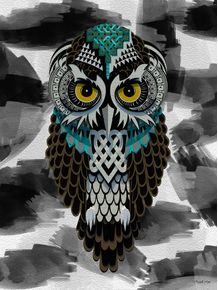 quadro-spectre-owl