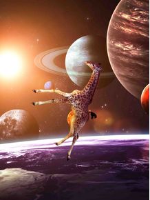 quadro-girafa-astronauta