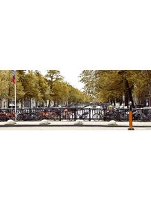 quadro-amsterdam-bikes-panoramica