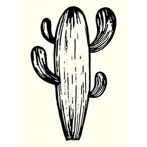 quadro-cactus-bliss