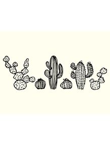 quadro-cactus-family