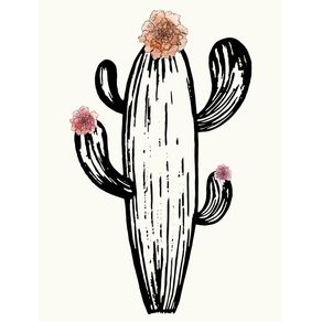 quadro-cactus-and-flowers