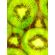quadro-frutas--kiwi