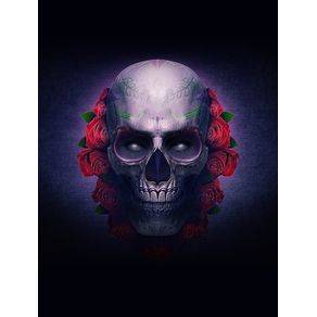 quadro-la-mexican-skull