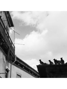 quadro-gatos-no-telhado