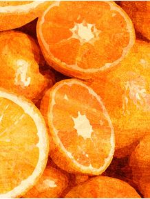 quadro-frutas--laranja