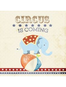 quadro-circus-elefante