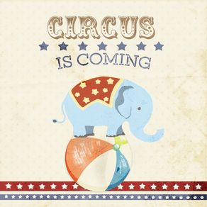 quadro-circus-elefante