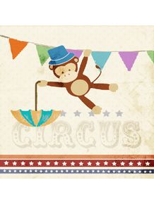 quadro-circus-macaco