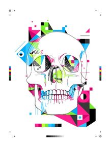 quadro-colour-skull