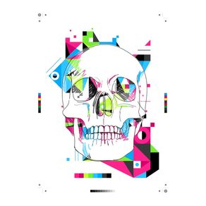 quadro-colour-skull