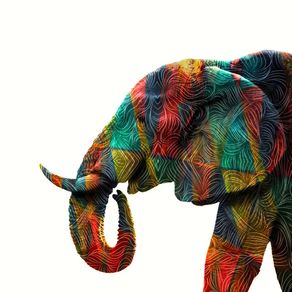quadro-colorful-elephant