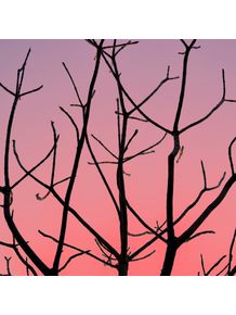quadro-sampa-winter-sunset-ii