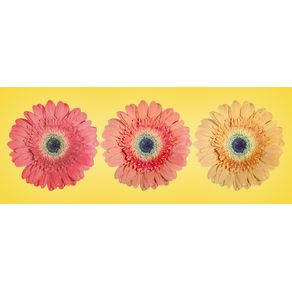 quadro-gradient-flowers