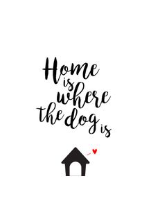 quadro-home-is-where-the-dog-is