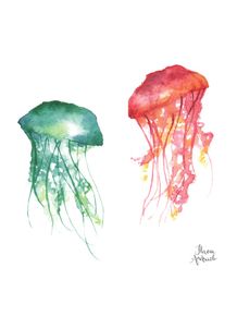 quadro-jellyfish-sea