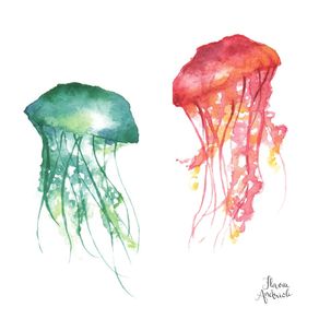 quadro-jellyfish-sea