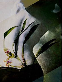 quadro-botanical-woman-2