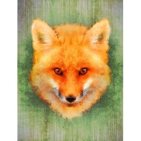 quadro-olhar-fox
