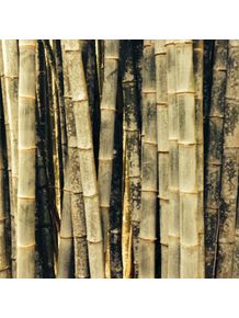 quadro-conjunto-de-bambu