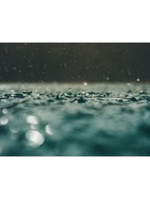 quadro-summer-rain