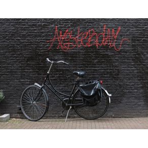 quadro-bicicleta-amsterdam