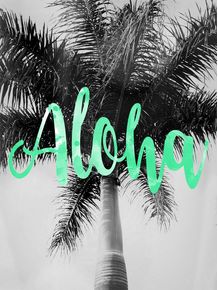 quadro-aloha-green
