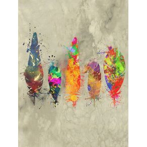 quadro-painted-feathers