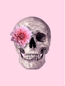 quadro-pink-flower-skull