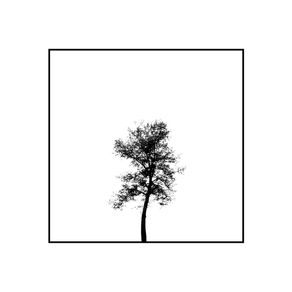 quadro-minimal-tree-iii
