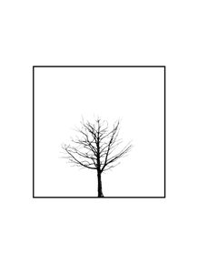 quadro-minimal-tree-iv