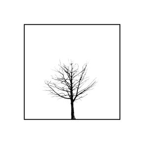 quadro-minimal-tree-iv