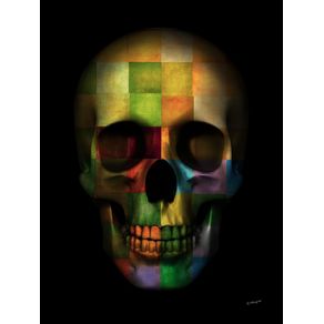 quadro-skull-colors-graphics