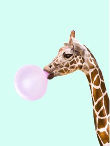 quadro-bubblegum-giraffe