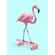 quadro-skate-flamingo