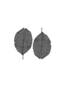 quadro-two-leafs