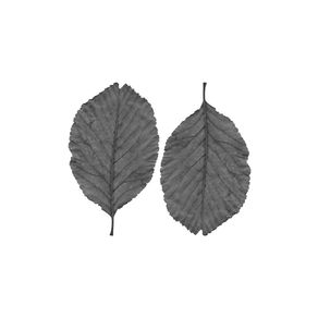 quadro-two-leafs