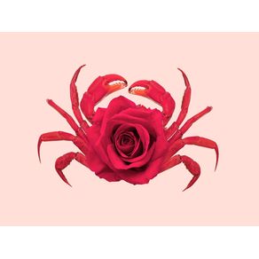 quadro-rose-crab
